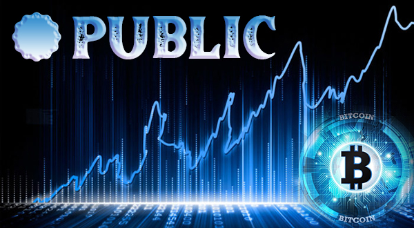 Public is a free app with an investing platform that offers fractional investing with no commission fees or account minimums. Their mission is to make it possible for anyone to own any stock that they are interested in for any amount of money, even if that happens to be only one dollar.
